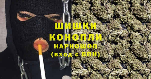 СК Бородино