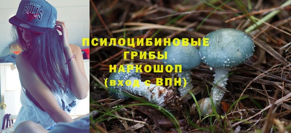 СК Бородино