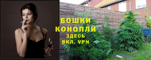 СК Бородино